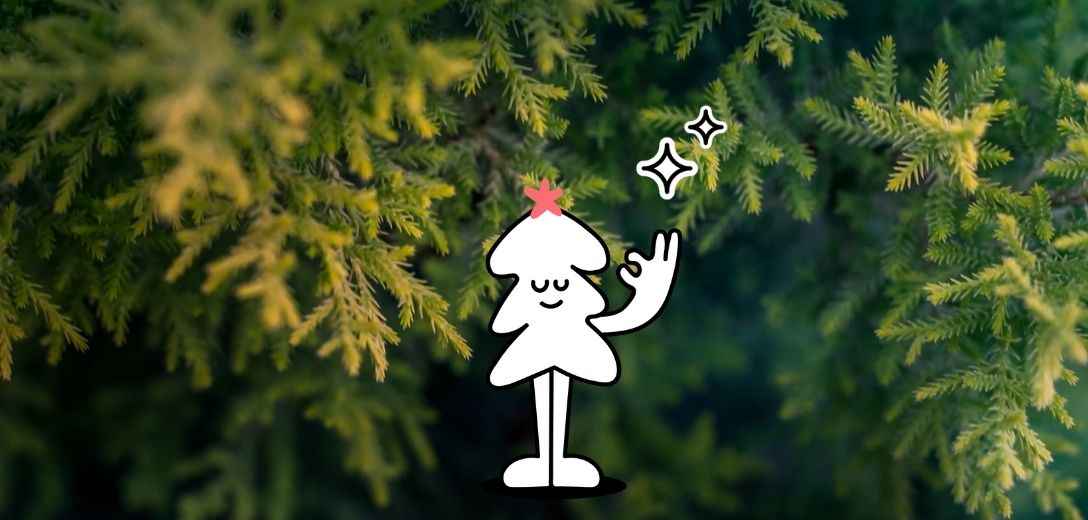 weihnachten nachhaltig geschenke