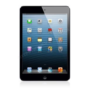 iPad mini 16 Go - Wifi - Noir