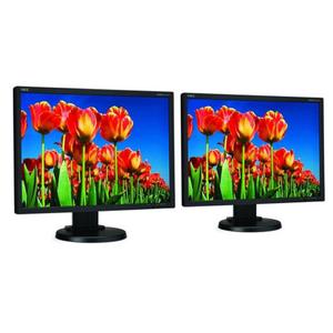 2 Ecrans 22" TFT 1680x1050 NEC E222W-BK
