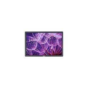 Ecran 19'' LCD WXGA+ Dell P1913