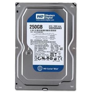 Disque Dur interne 3.5" 250Go - Western Digital Caviar Blue WD2500AAKX-60U6AA0