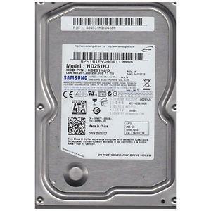 Disque Dur Interne 3.5" 250Go SATA - SAMSUNG HD251HJ/D 0WK977 WK977