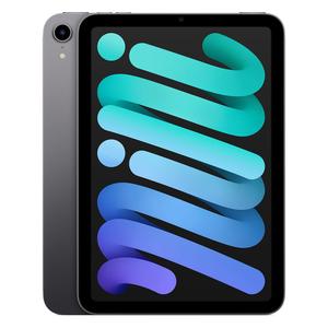 iPad mini 8.3" (2021) 6. Generation 256 GB - WLAN + 5G - Space Grau