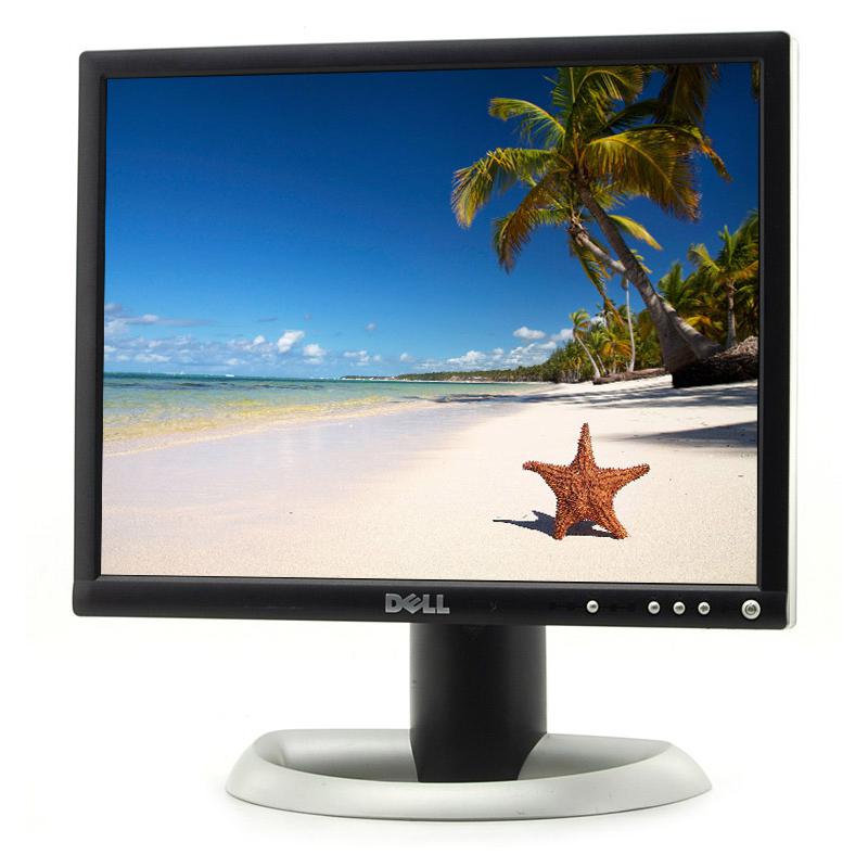 Monitor 20 Dell 2001FP 1600 x 1200 LCD Čierna Back Market