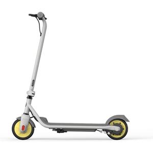 SEGWAY  Ninebot By  Kickscooter Zing C8