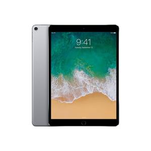 iPad Pro 105 (2017) 105 256GB WLAN + LTE Space Grau Ohne Vertrag I 24 M Gratis Garantie