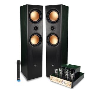 EVIDENCE ACOUSTICS Enceinte Bluetooth  EA800-PG - Noir