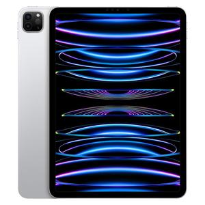 2790cm (11) iPad Pro Wi-Fi - 4 Generation - Tablet - 2TB - 279 cm (11) IPS (2388 x 1668) - Space-grau (MNXM3FD A)