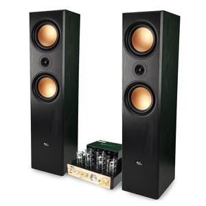EVIDENCE ACOUSTICS Enceinte Bluetooth  EA800-PG - Noir
