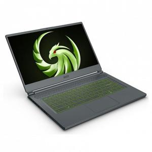 MSI  Delta 15 A5EFK-092FR
