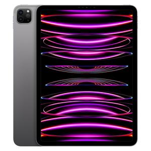 iPad Pro 11" (2022) 4. Generation 512 GB - WLAN - Space Grau