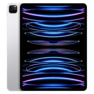 iPad Pro 12.9" (2022) 6. Generation 512 GB - WLAN - Silber
