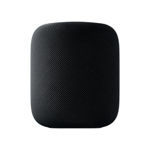 Enceinte Bluetooth HomePod - Gris sidéral