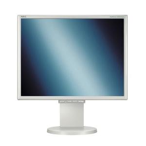 Monitor 19" LCD SXGA Nec LCD1970NXp