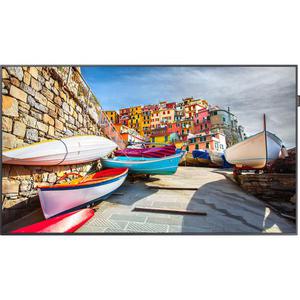 Écran 49" LED FHD PM49H