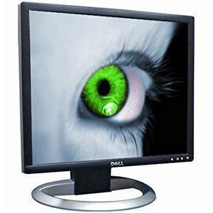 Écran 19" LCD SXGA Dell UltraSharp 1905FP