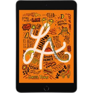 iPad mini 5 (2019) 7,9" 256GB - WLAN - Space Grau - Kein Sim-Slot
