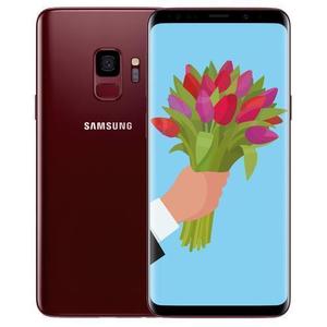 Galaxy S9 64 Gb - Rot - Ohne Vertrag