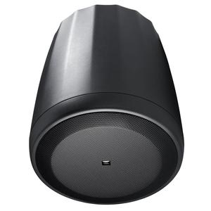Altoparlanti Jbl Control C65P/T - Nero