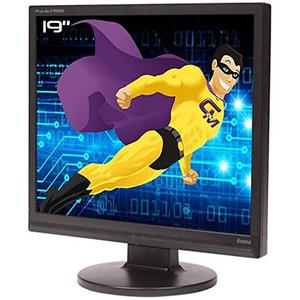Écran 19" LCD SXGA Iiyama ProLite PLE1906S-B1