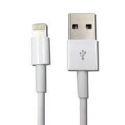 Chargeur USB 5W + Câble USB vers Lightning - WTK