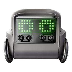 Spin Master Boxer Roboter