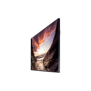 Écran 43" LED FHD PH43F-P