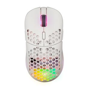 Souris Fourze GM900 Sans fil