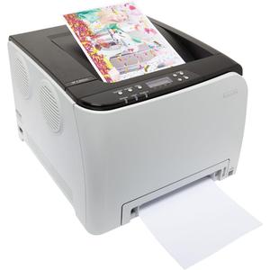 Drucker Ricoh SP C250DN