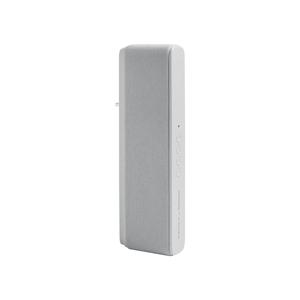 Thermor Multiroom by Cabasse Bluetooth Speakers - Cinzento