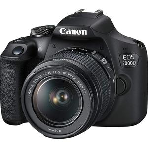 Reflex - Canon EOS 2000D Noir Canon Canon EF-S 18-55mm f/3.5-5.6 IS II + Canon EF 50mm f/1.8 STM
