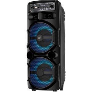 Enceinte DUAL DLDJ28001 High Power Gamme DJ