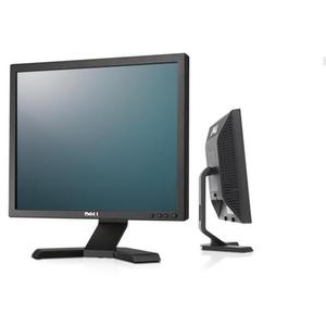 Écran 17" LCD SXGA Dell P170S