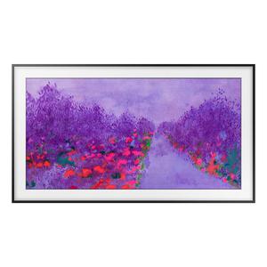 SMART Televisioni LCD Ultra HD 4K 109 cm The Frame UE43LS03